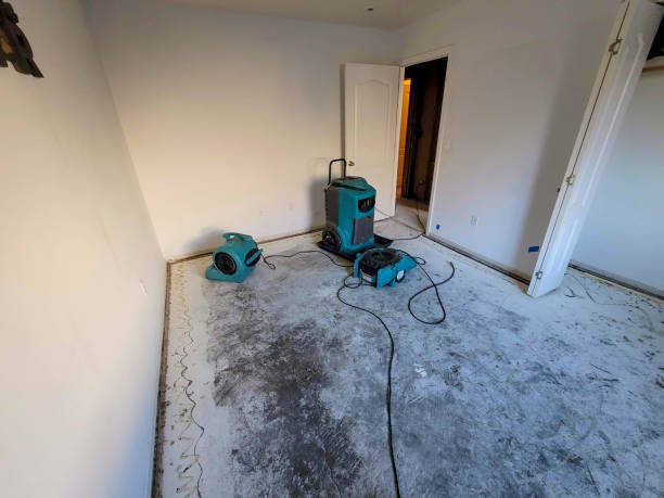 Best Flood restoration services  in Lebanon, MO