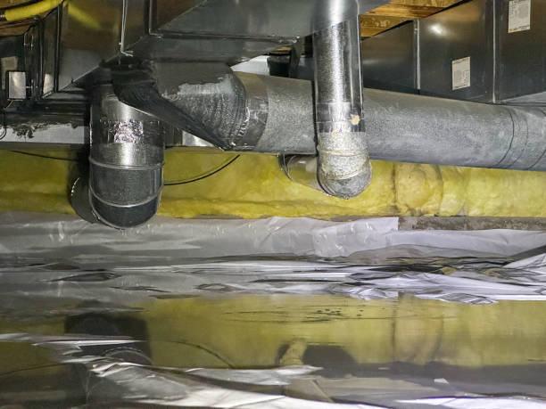 Best Ceiling water damage repair  in Lebanon, MO